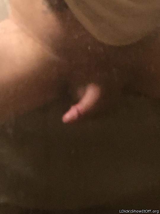 Adult image from LDick