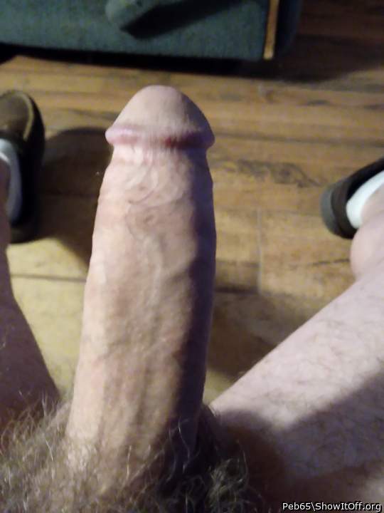 Adult image from Peb65