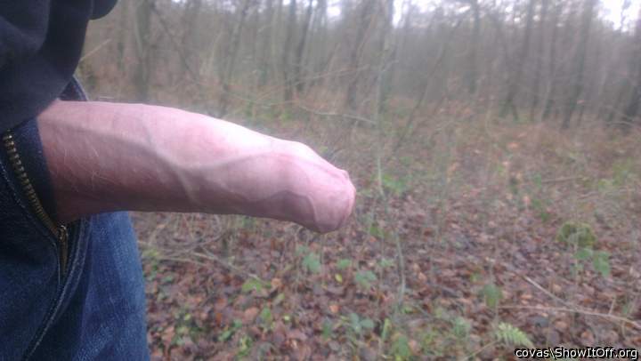 Adult image from covas
