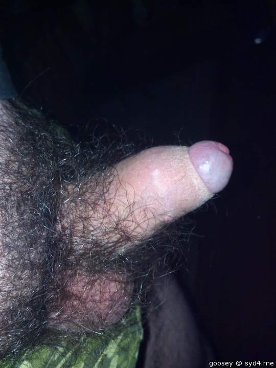 Adult image from Goosey