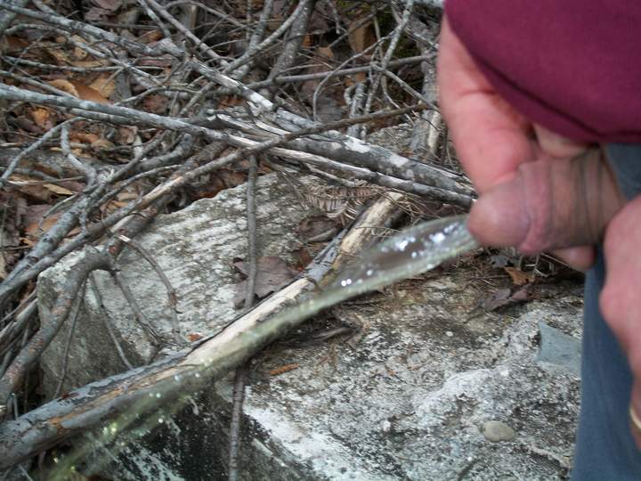 Adult image from avgcock