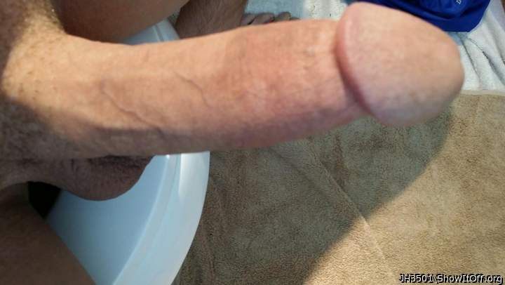 Adult image from JH3501