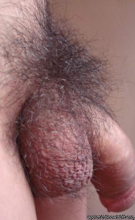 Love it furry, love it smooth�