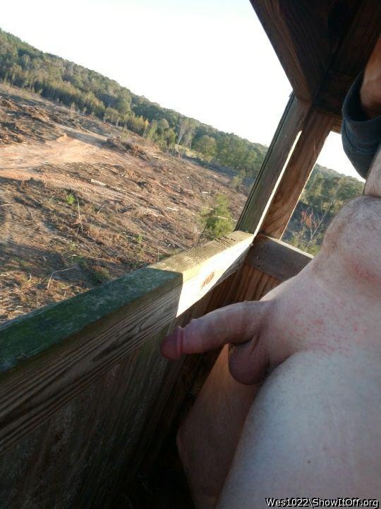 Adult image from Wes1022