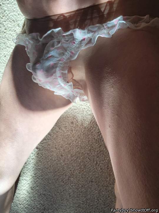 Adult image from Pantyboy