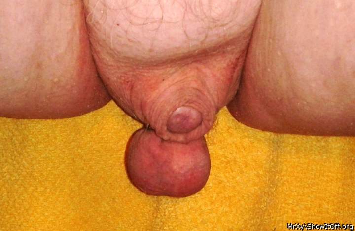 Suck my sack