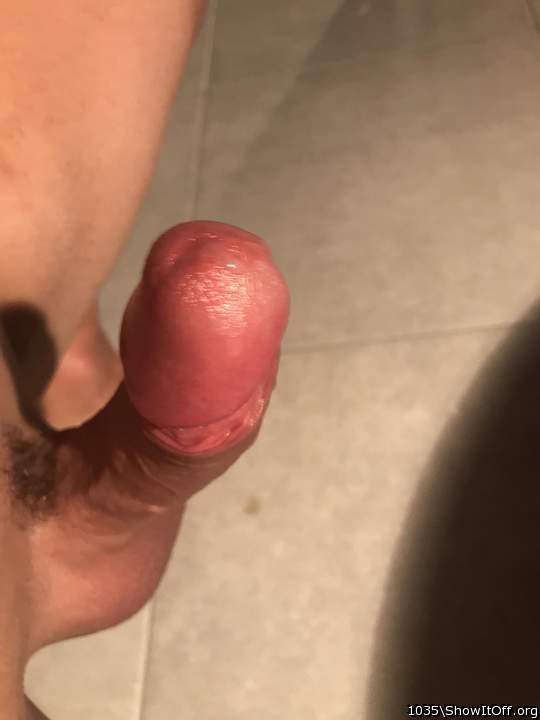 Adult image from 1035