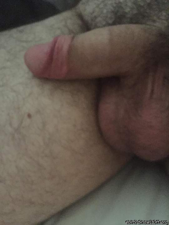 Adult image from Ebih2