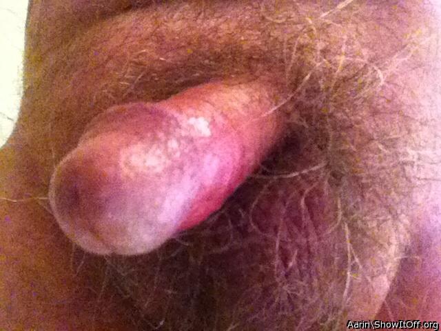 Adult image from Arinn