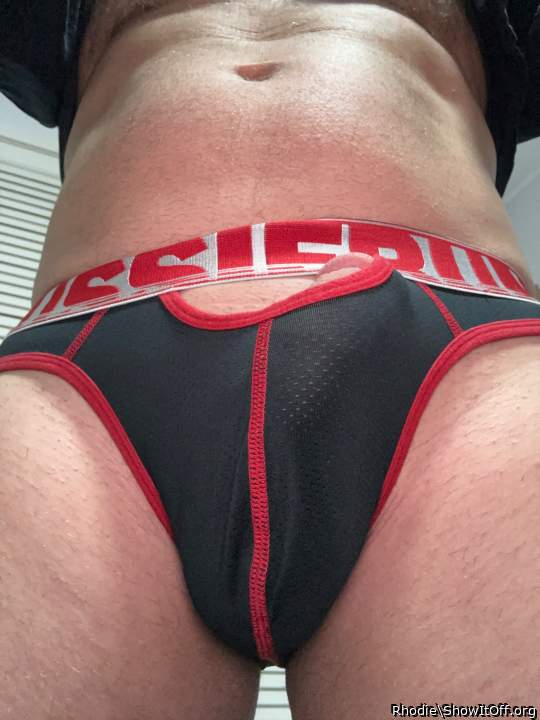 Adult image from Rhodie