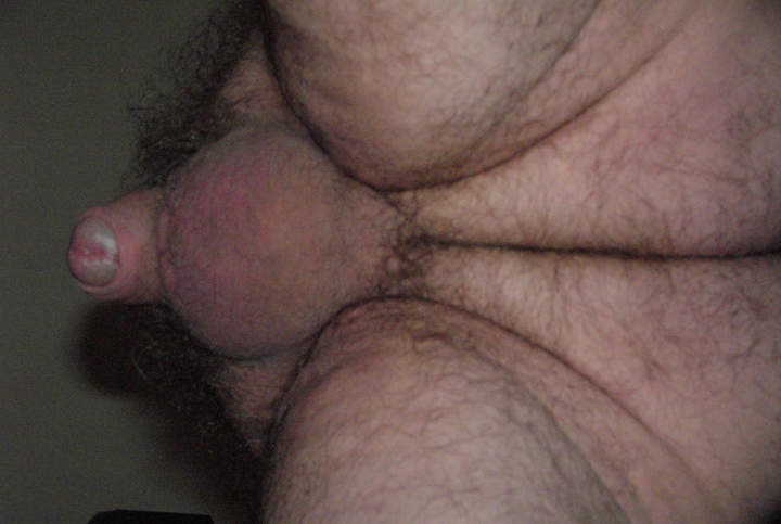Adult image from balticsea
