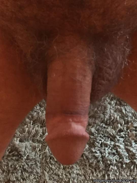 Adult image from dodgerboy