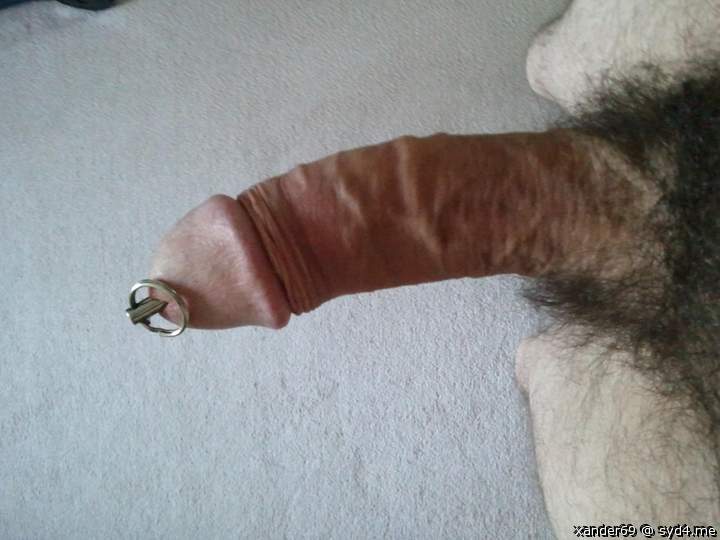 Adult image from xander69