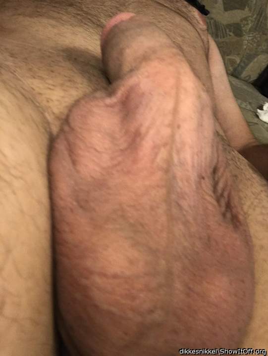 Adult image from dikkesnikkel