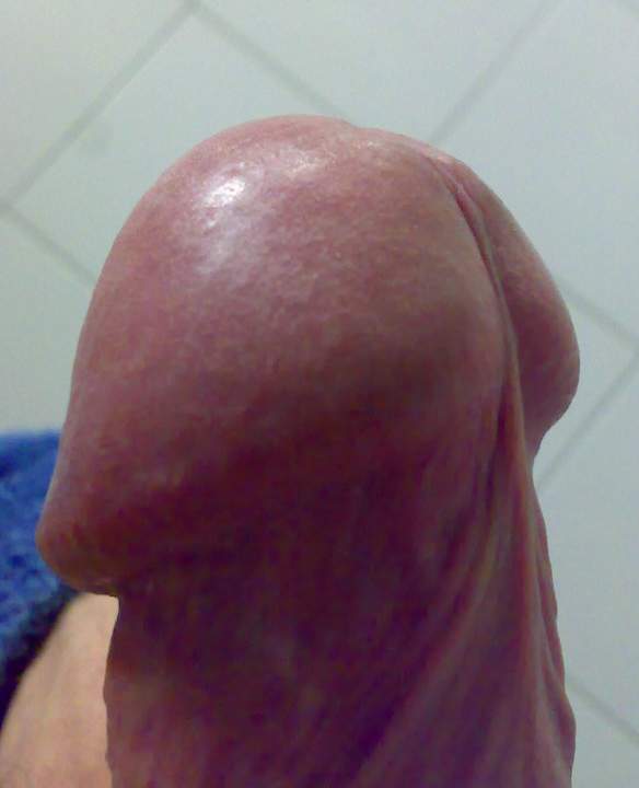Adult image from roccotano