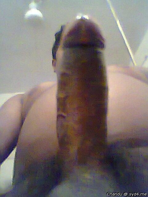 Adult image from Chandu