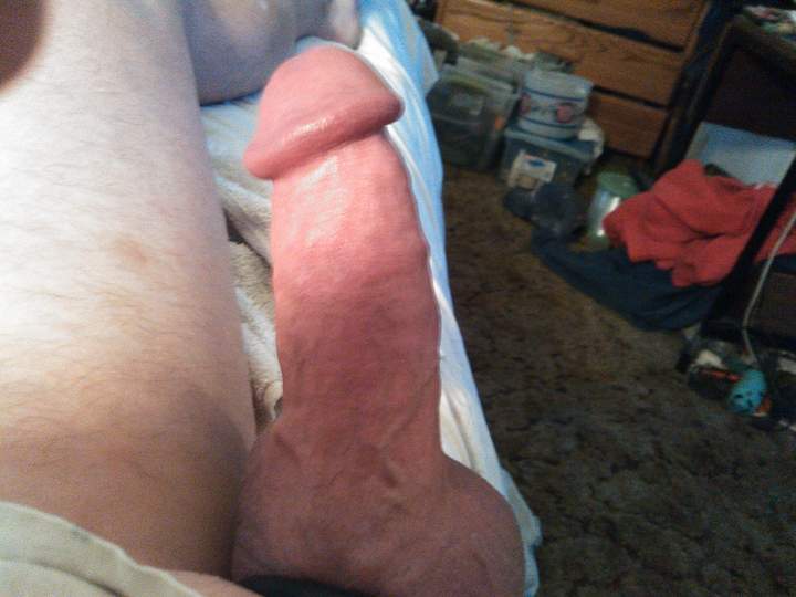 Adult image from fish4free
