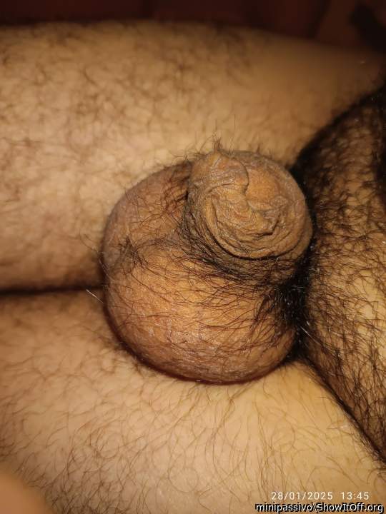 Very attractive cock 