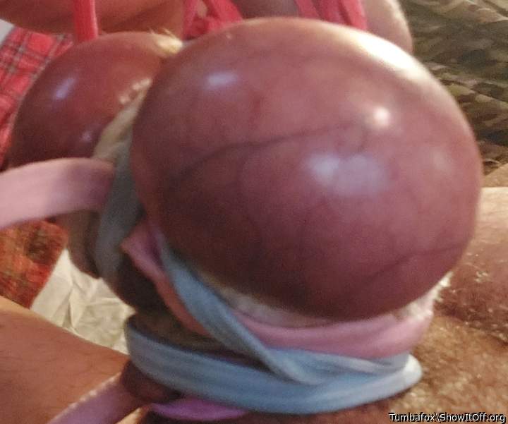 Adult image from Tumbafox
