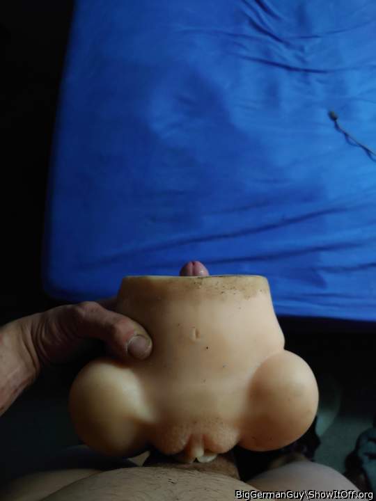 besser eine echte pussy, oder? 