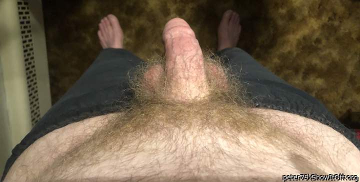 Adult image from peter79