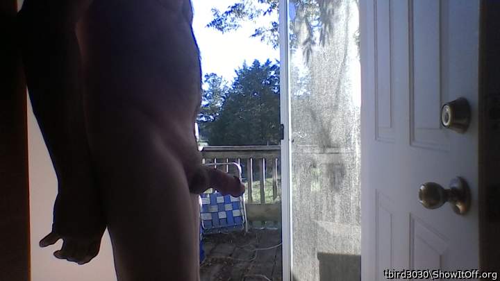 Adult image from tbird3030