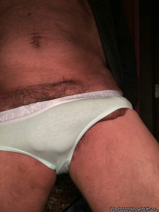 Adult image from Pibo2020