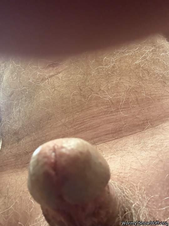 Adult image from Wormy