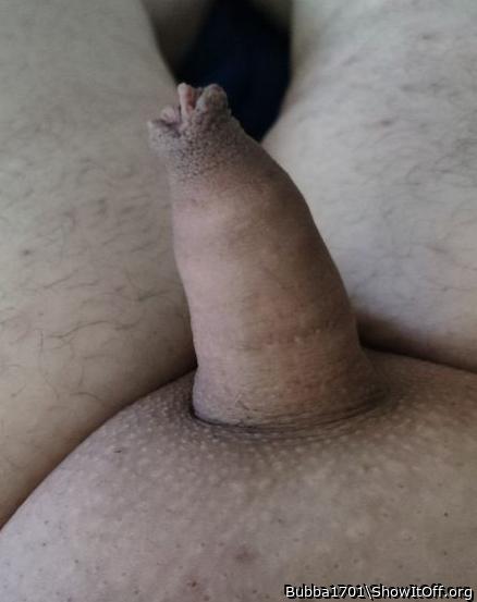 Adult image from Bubba1701