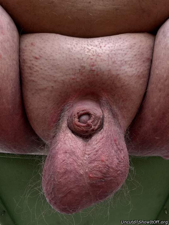 Love it so small and over those bull balls 