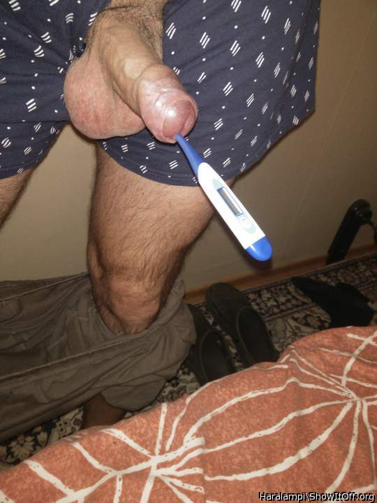 Adult image from Haralampi