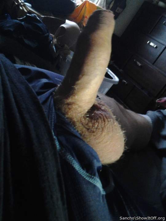 Adult image from Sancho