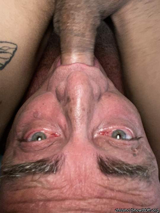 Adult image from chizshc