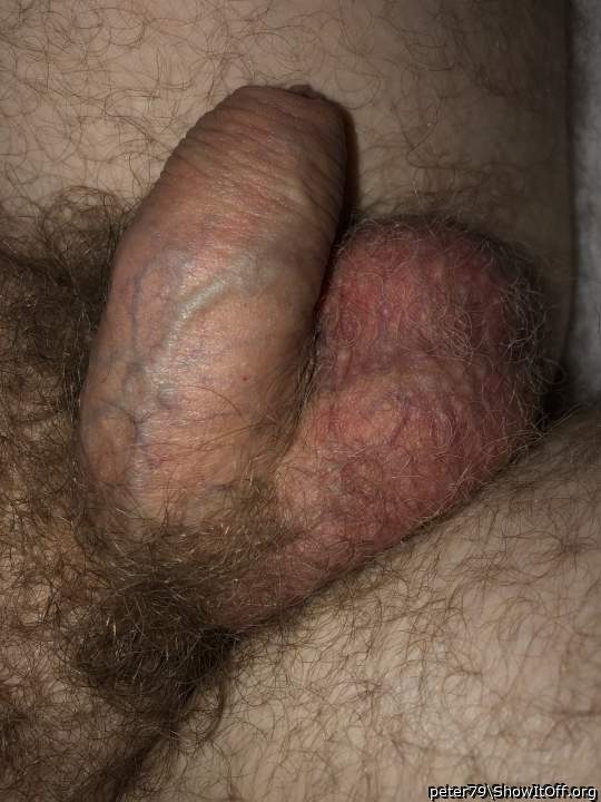 Adult image from peter79