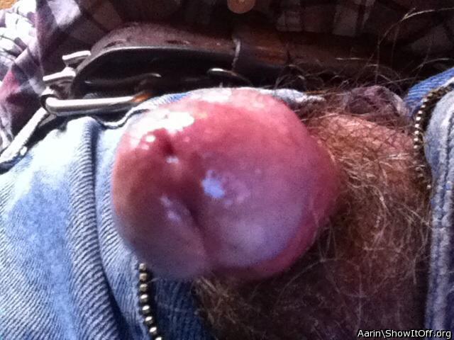 Adult image from Arinn