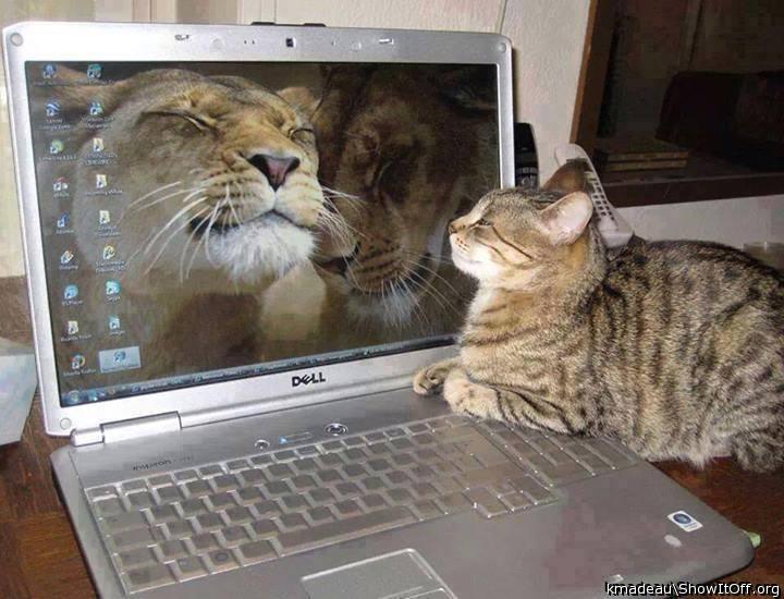 To be used on Main Page only!!!