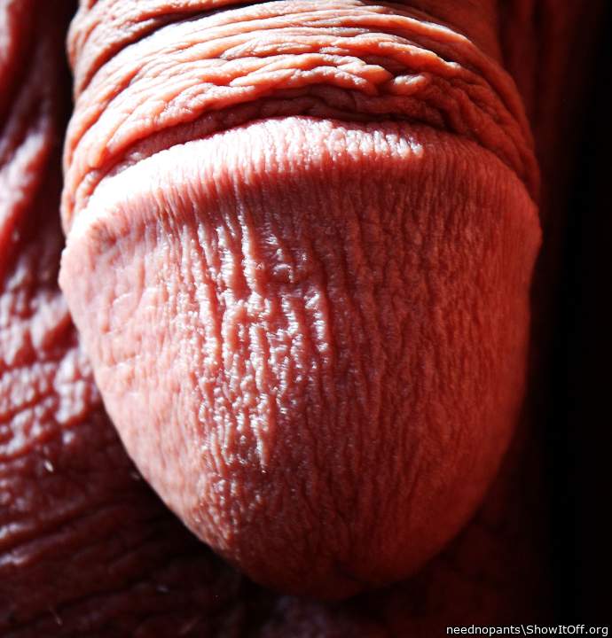 Adult image from neednopants