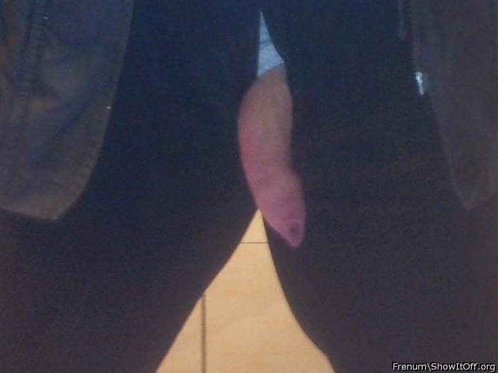 Adult image from Frenum