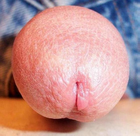 Adult image from lilsoftee