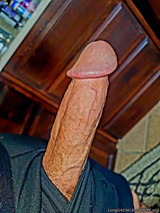 Adult image from LongG4236