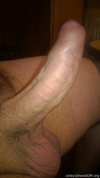 Adult image from corby