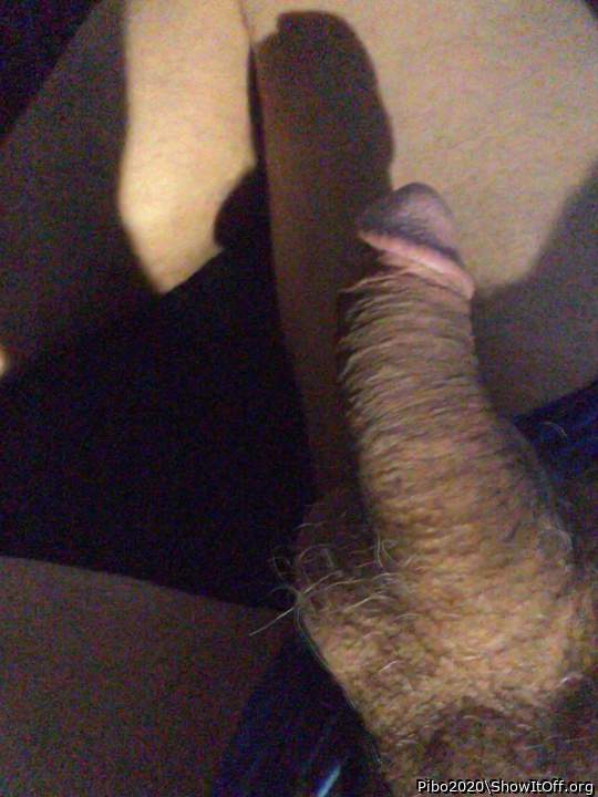 Adult image from Pibo2020