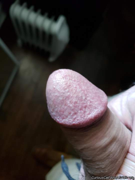 Adult image from CuriousCali