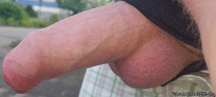 Adult image from covas