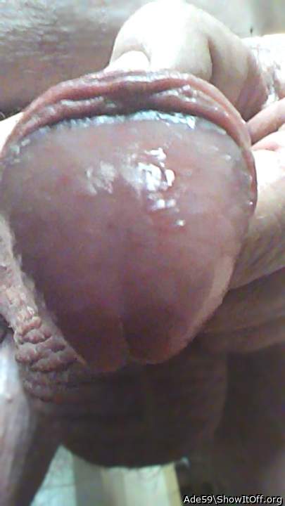 Would try to suck you into juicy cum squirts...a dream fun g