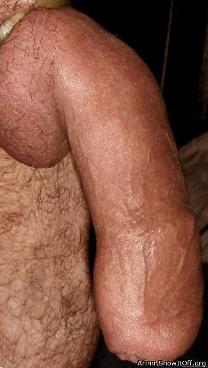 Adult image from Arinn