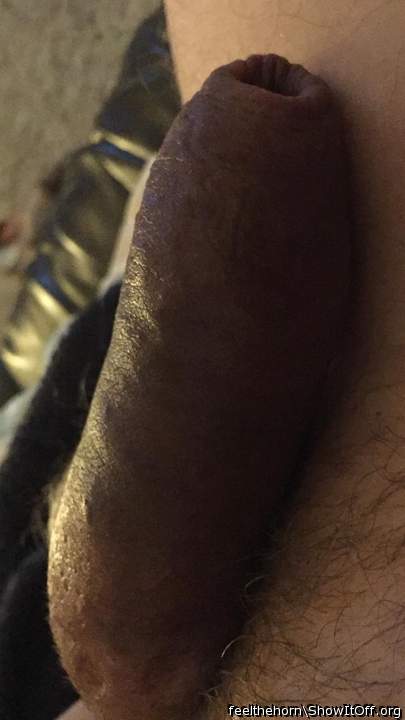 Adult image from feelthehorn