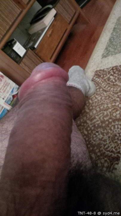 Adult image from TNT-48-8