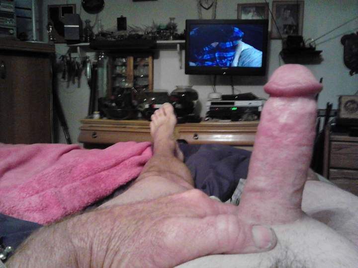 Adult image from fish4free