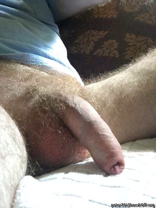 Adult image from peter79